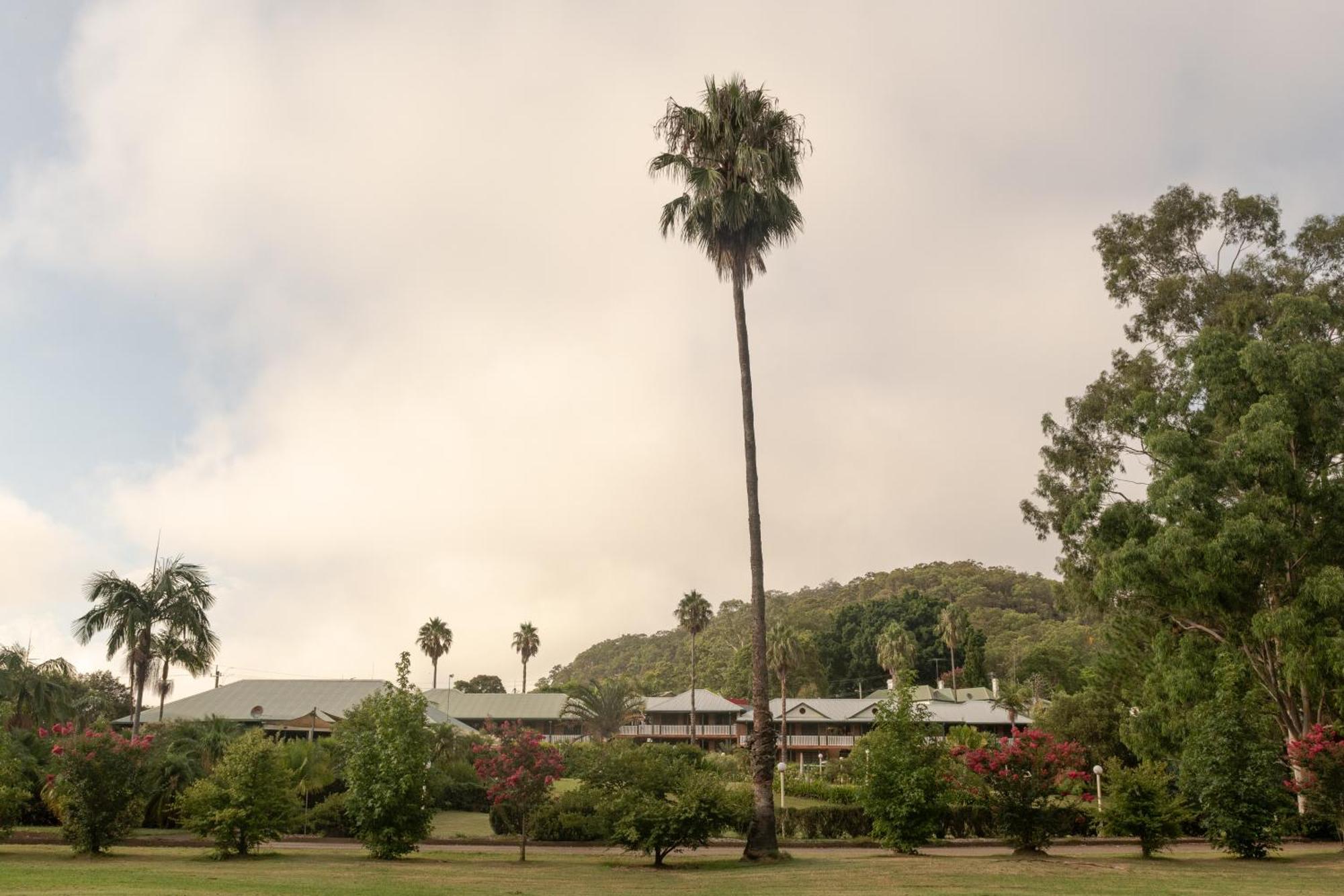 Wisemans Retreat Motel ไวส์แมนส์เฟอร์รี ภายนอก รูปภาพ